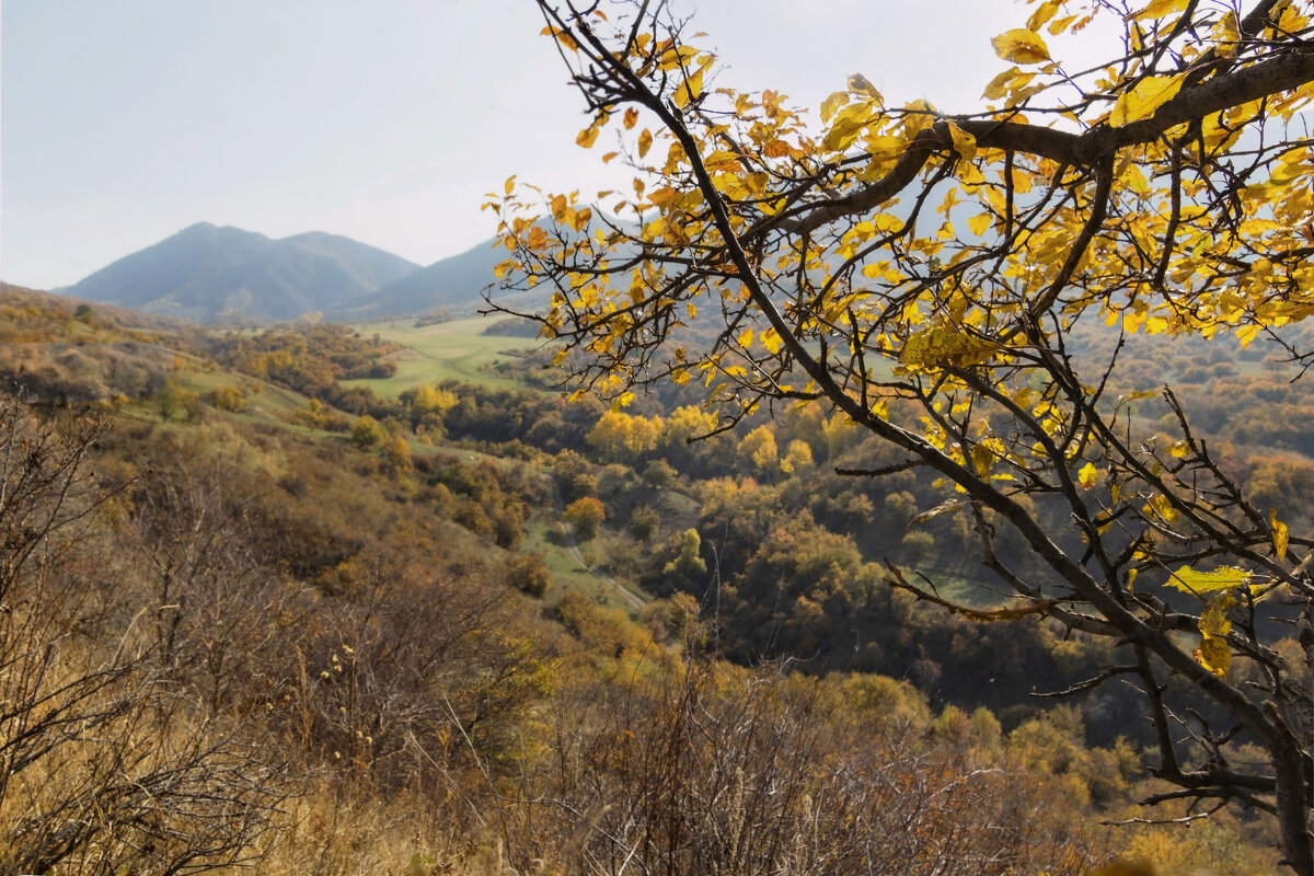 Горные луга - LudMila 