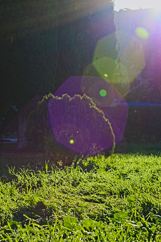 пейзажик ) - Giant Tao /