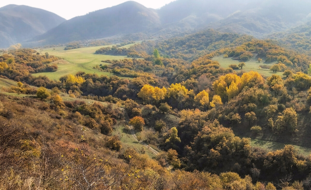 Горные луга - LudMila 