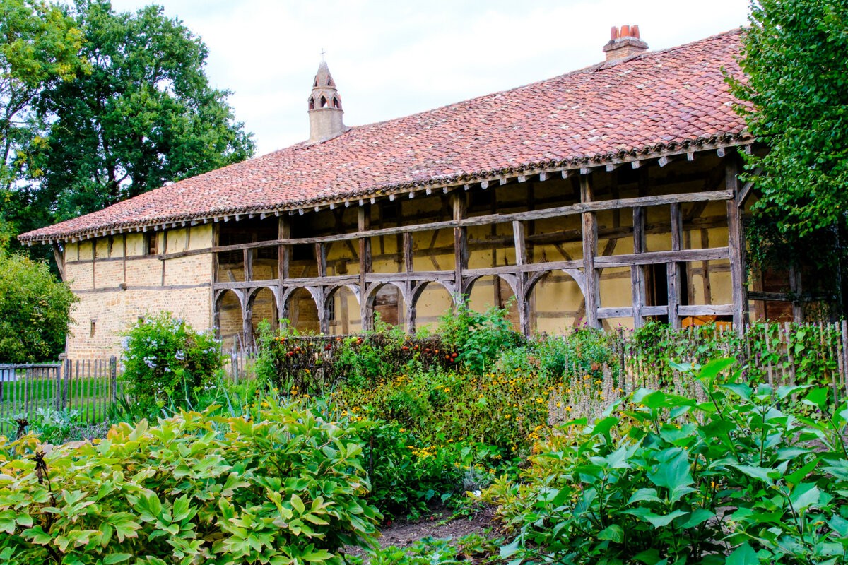 Территория вкусов (2) - Георгий А Территория вкусов (2) - Георгий А