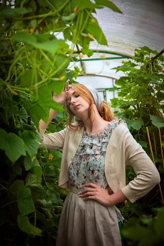 Барышня в теплице - Ольга Юртаева Барышня в теплице - Ольга Юртаева