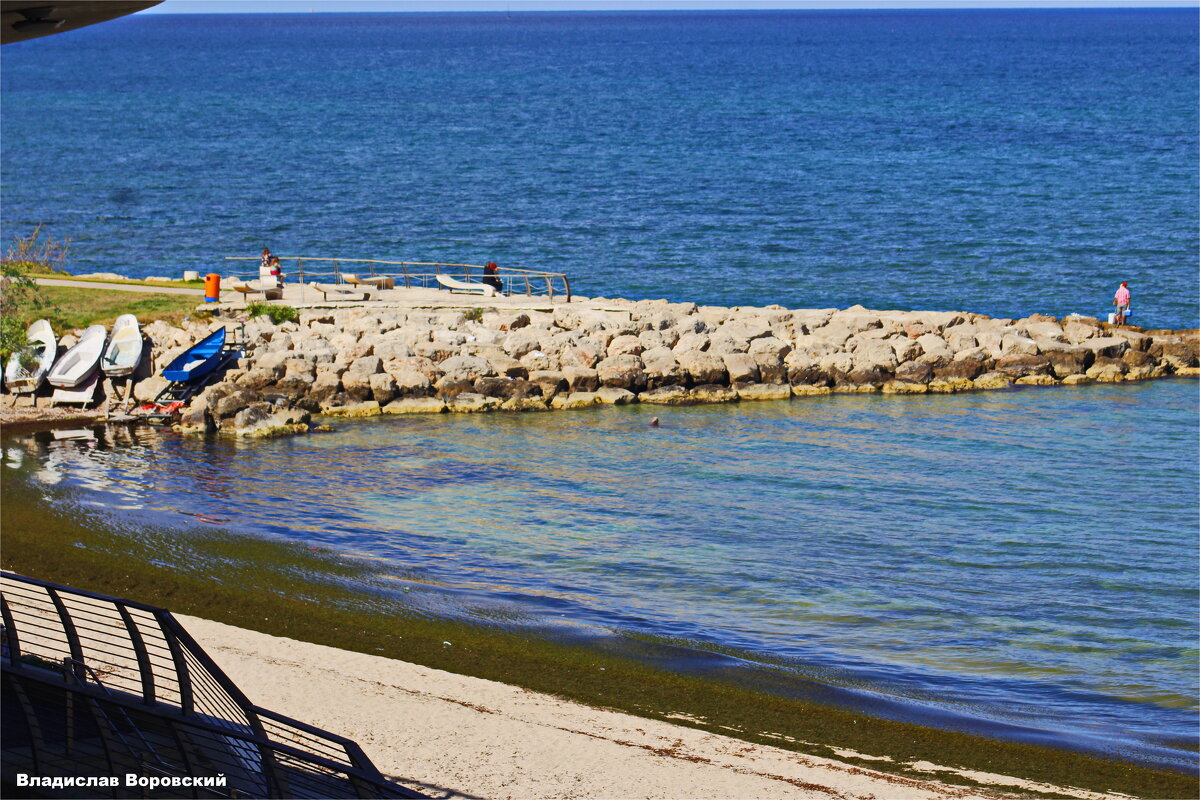 События / Репортаж - Владислав Воровский 