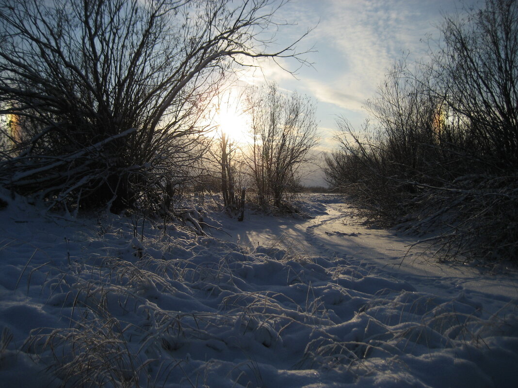 Зима - Anna Ivanova