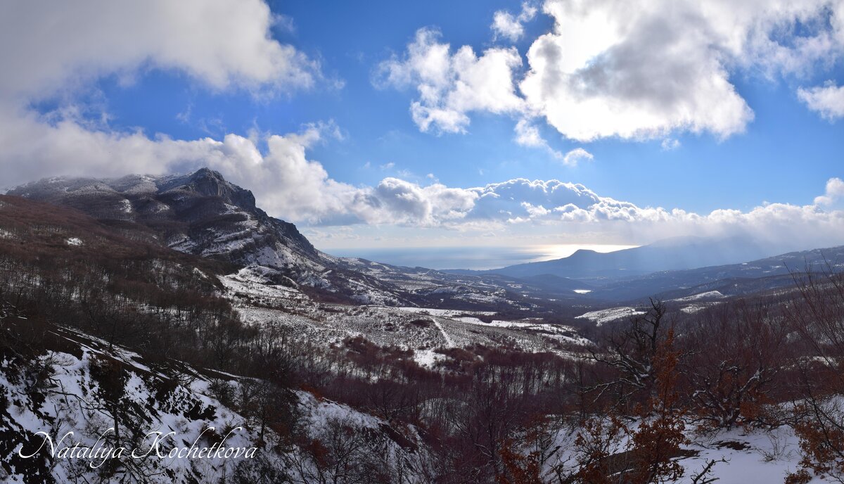 Природа Крыма - Amazing Cosmea Природа Крыма - Amazing Cosmea