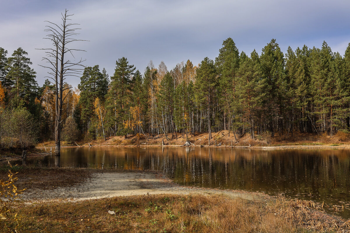 Осень - Владимир Новиков