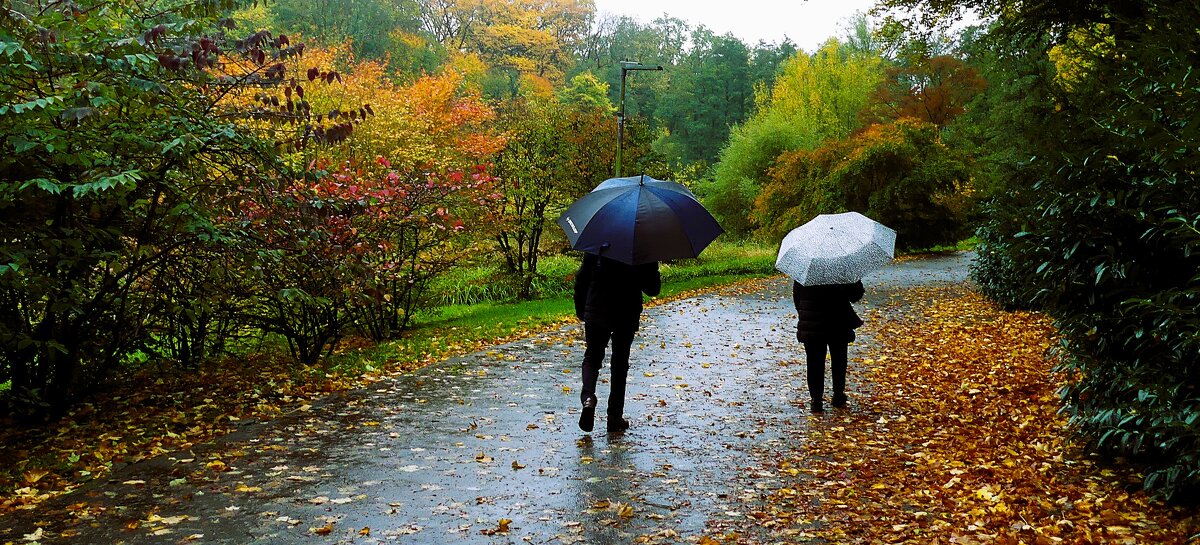 Осень в кадре(серия) - Владимир Манкер Осень в кадре(серия) - Владимир Манкер