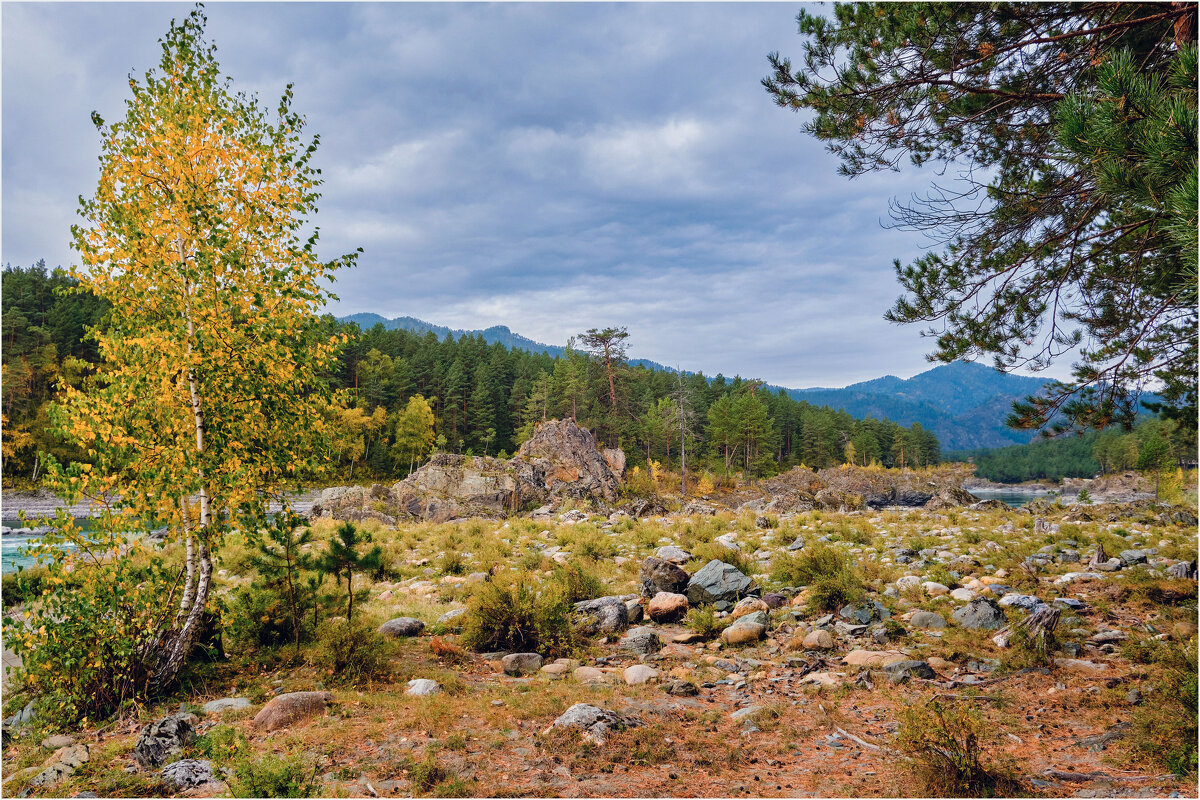 ***** - Алексей Мезенцев