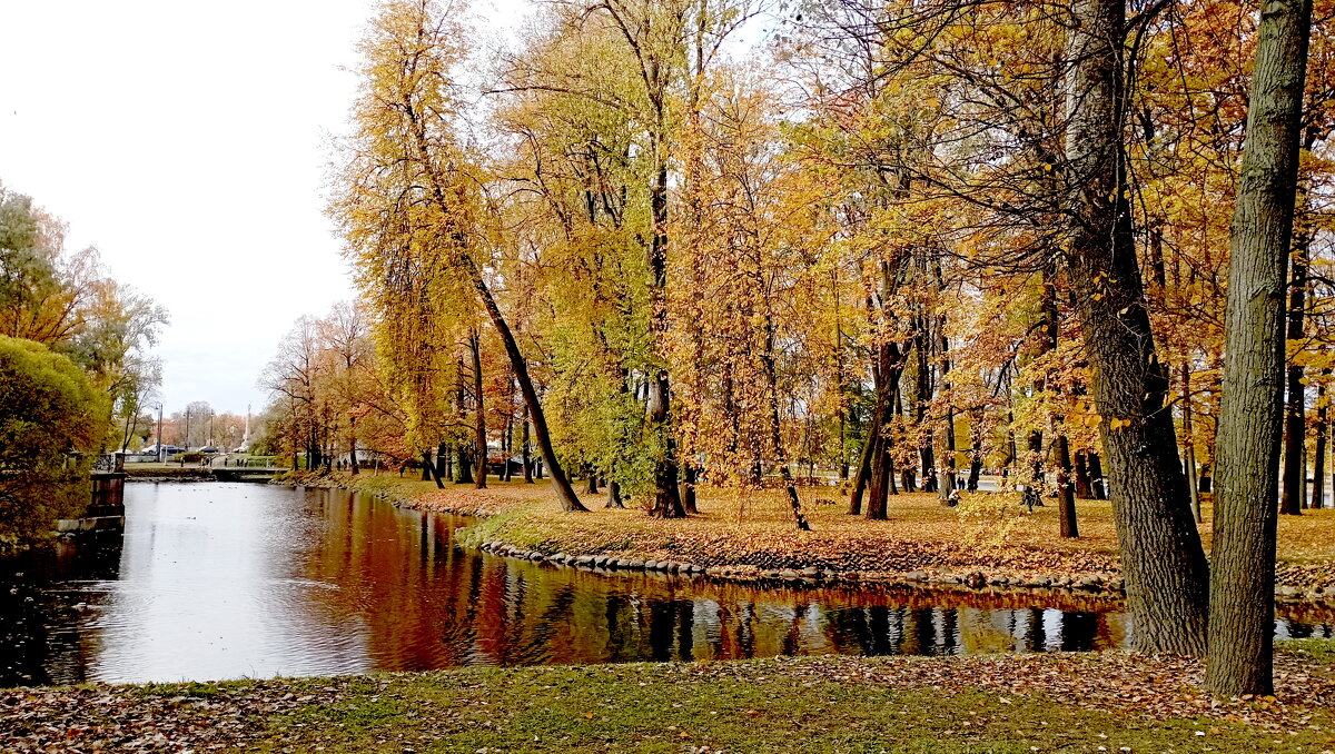 Золотая осень - Николай 