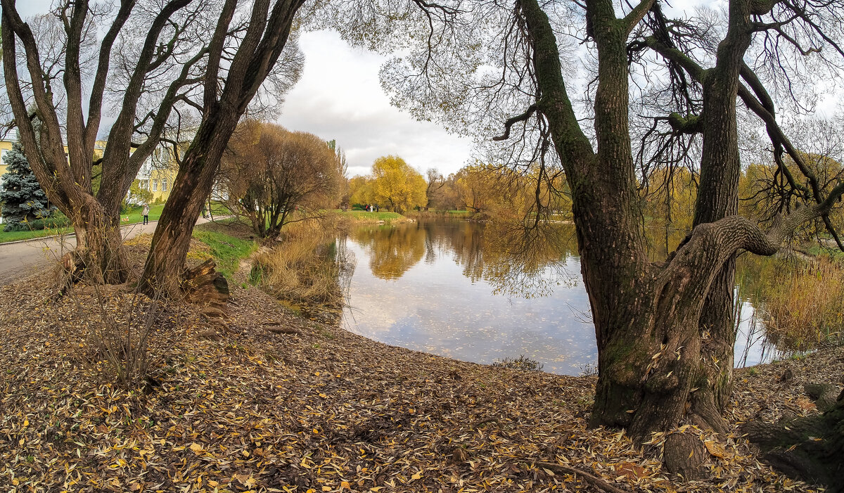 ***** - юрий поляков ***** - юрий поляков