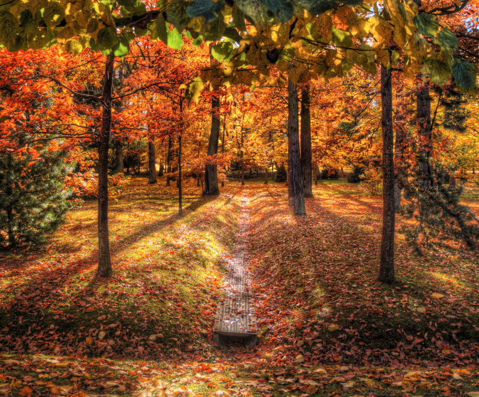 *** - Сергей Григорьев