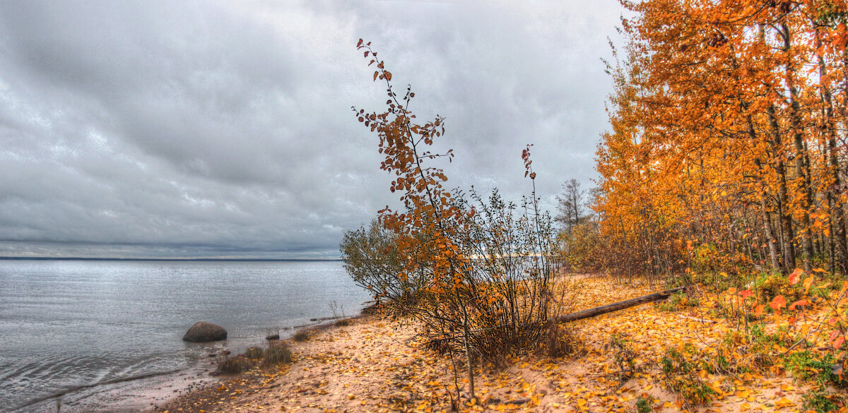 *** - Сергей Григорьев