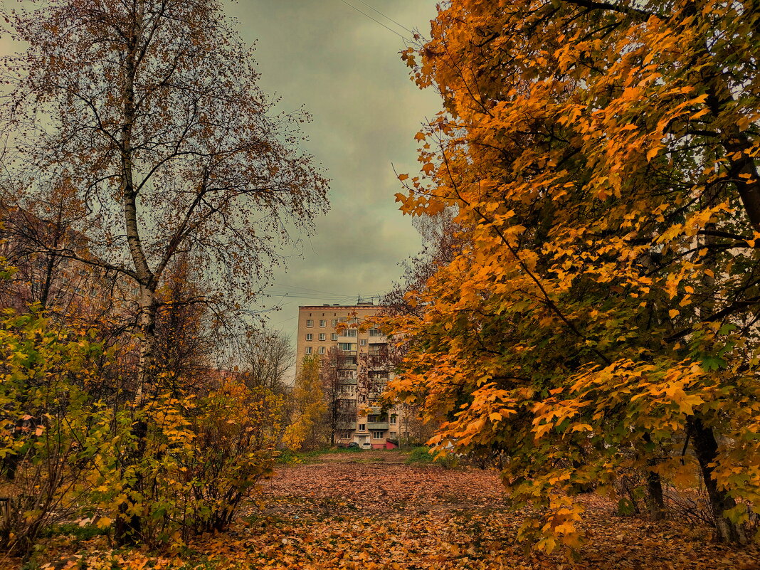 во дворе - Артём 