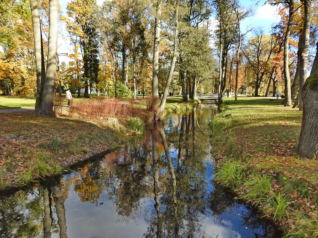 осень - ИННА ПОРОХОВА