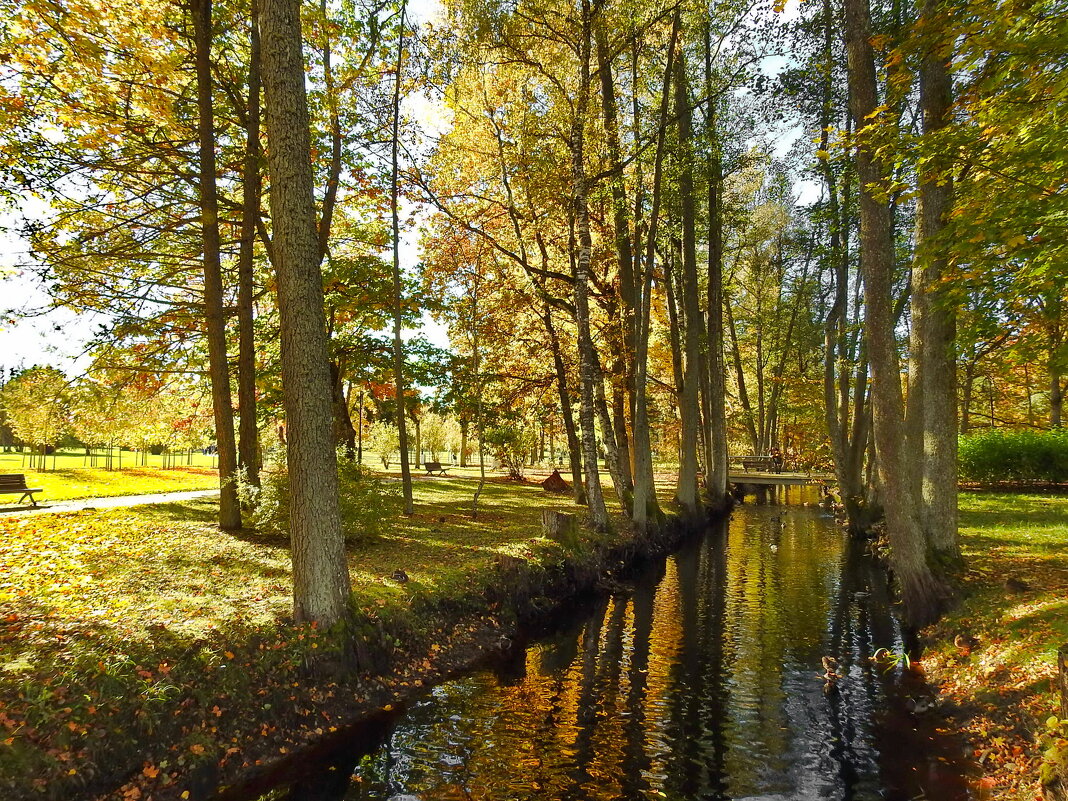 осень - ИННА ПОРОХОВА