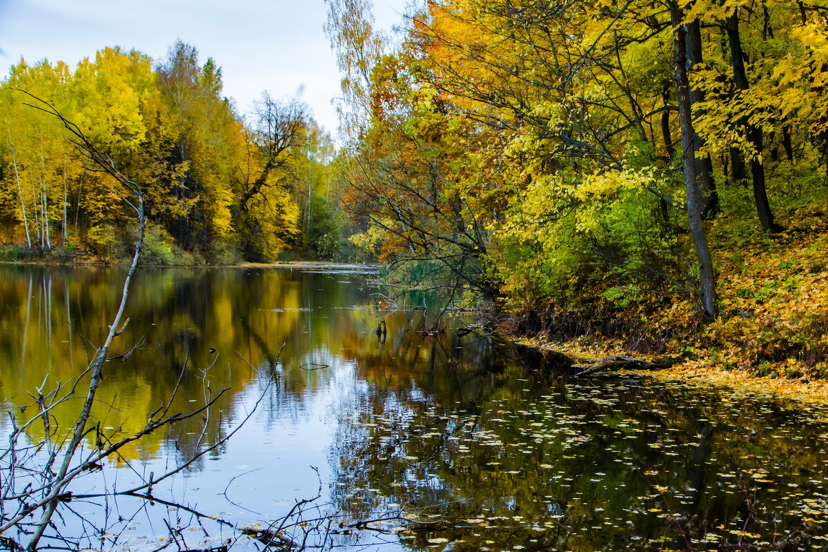 За городом - Юрий Морозов