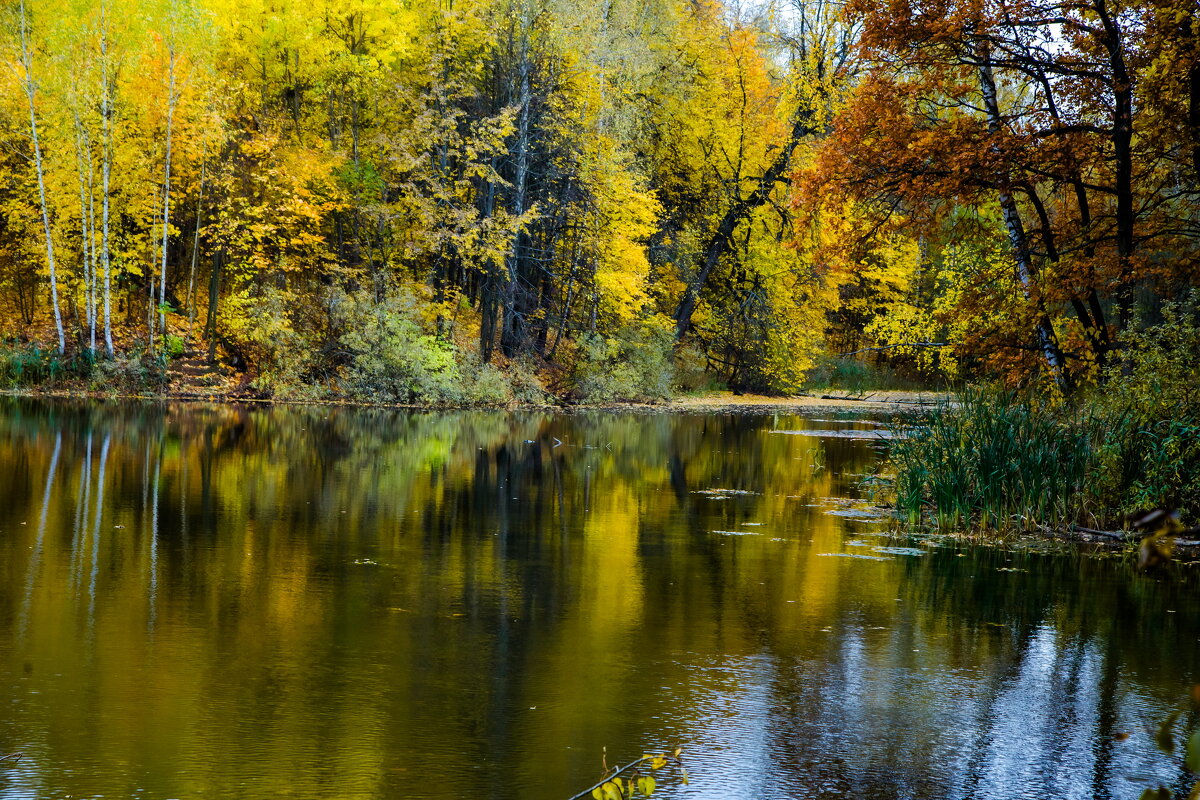 В непогоду - Юрий Морозов