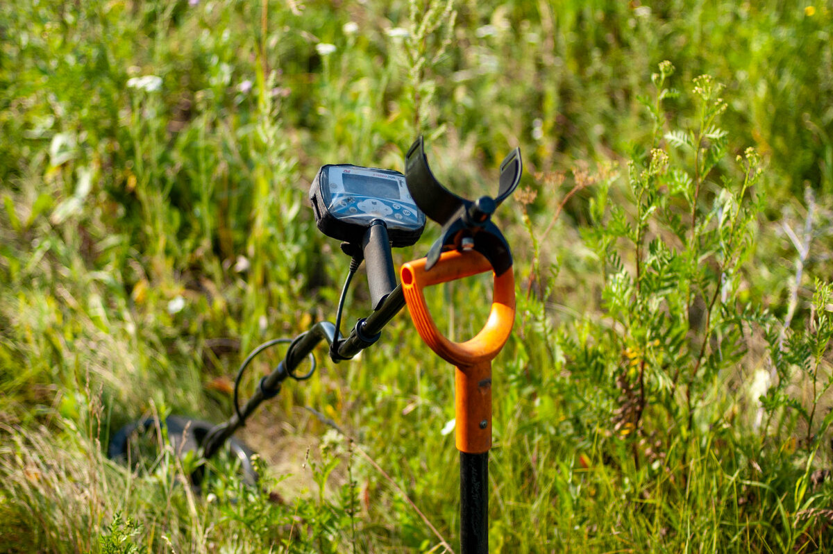 В поисках сокровищ - Владимир Иванович