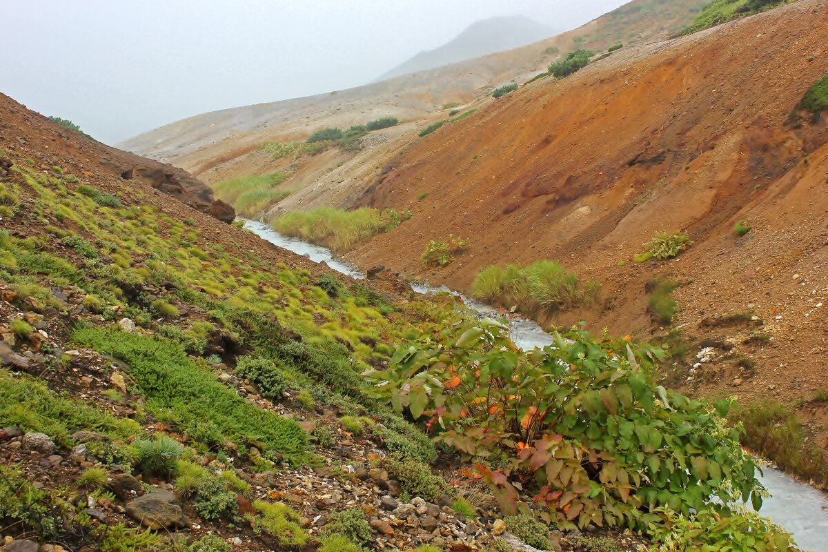 Вдоль канала - Владимир Соколов (svladmir)