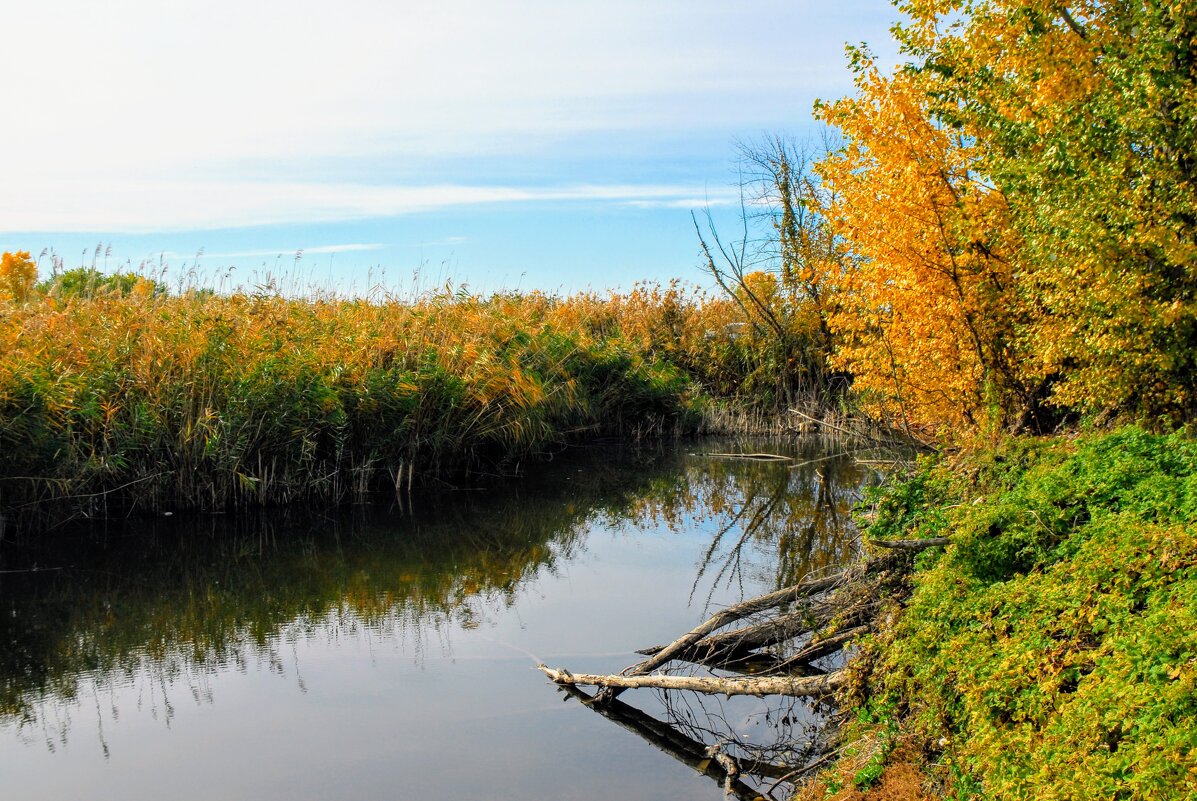 Октябрь. - Владимир 