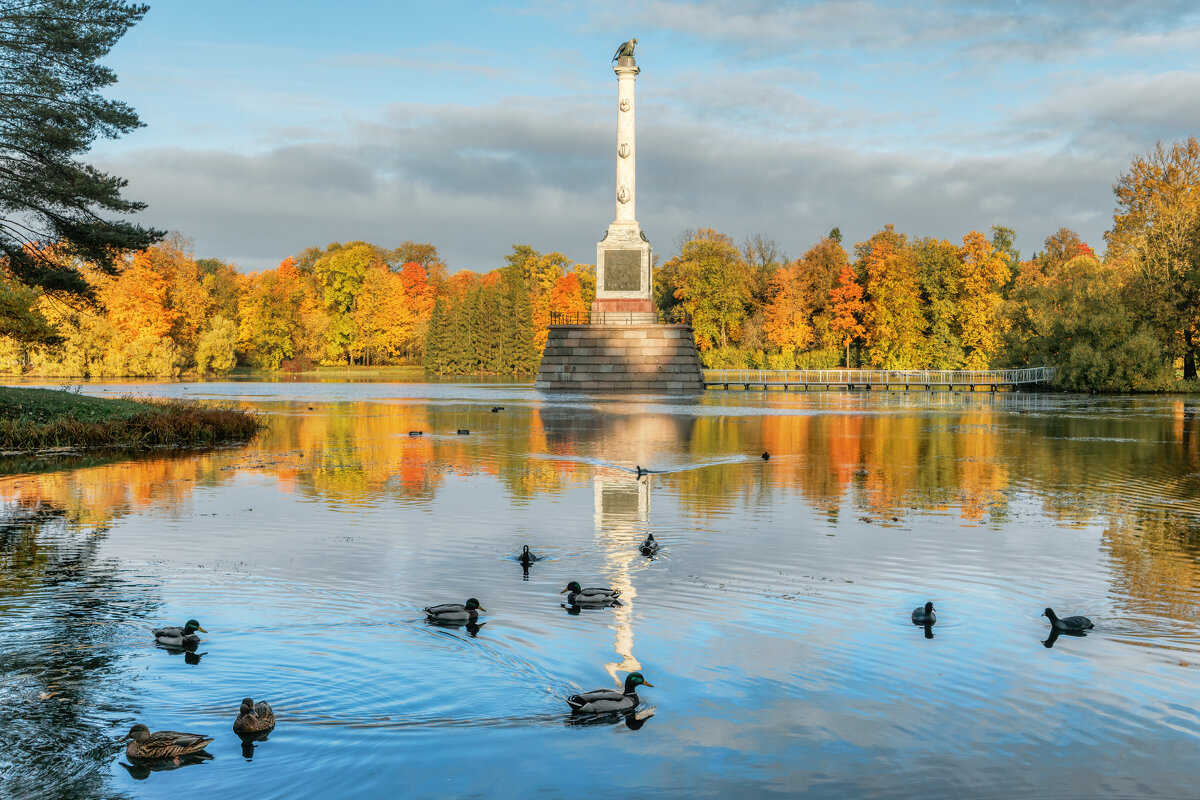 Про Питер - Владимир Колесников