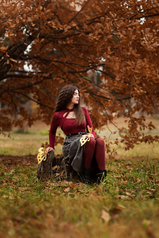 Осенние бабочки - Анна Ермоленко