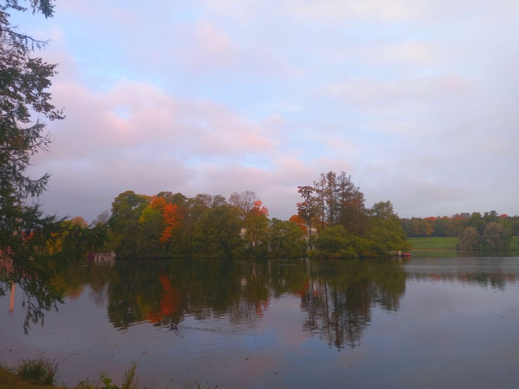 Рассвет - Сапсан 