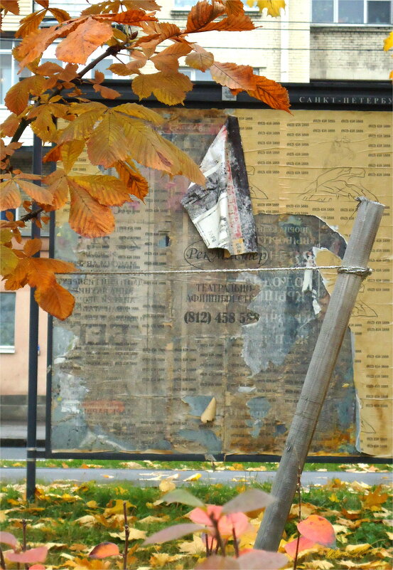 бенефис осени - sv.kaschuk 