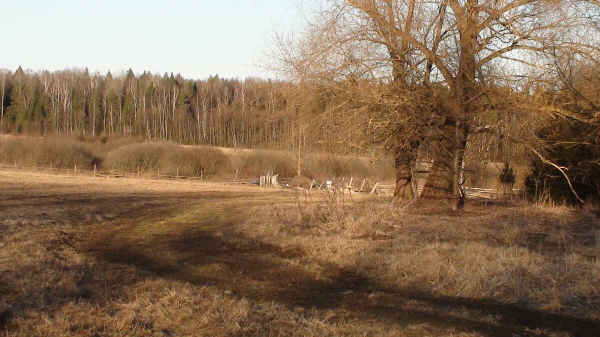 без названия - fogmeadowww m