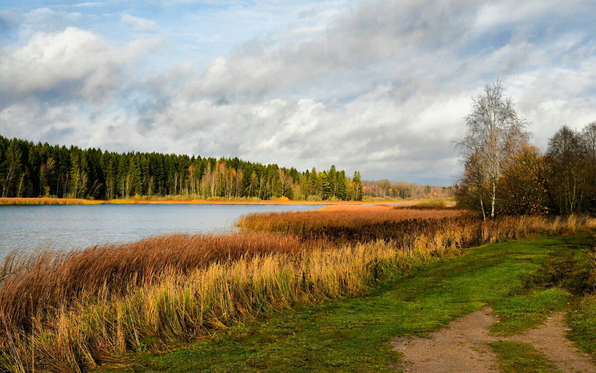 Осень в конце октября. - Милешкин Владимир Алексеевич 