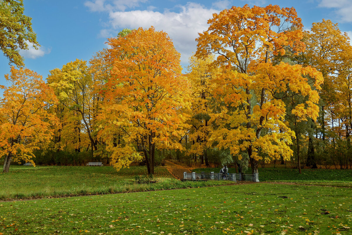 Осень. - vladimir Б