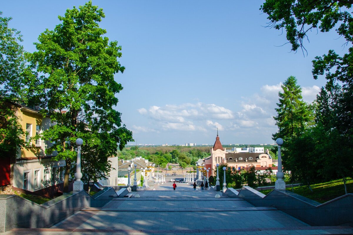 --- - Галина Ложечникова