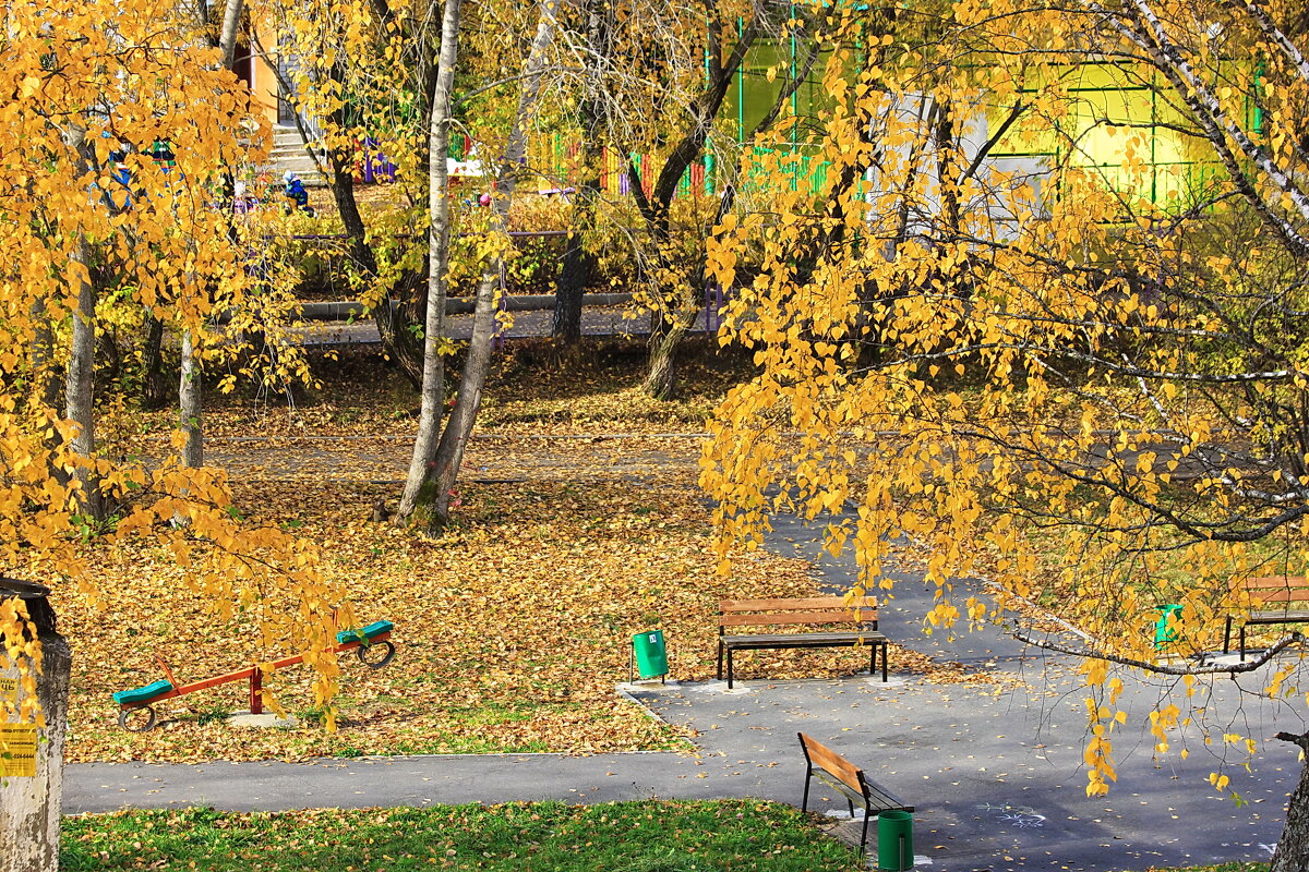 Осень во дворе - Александр Щеклеин Осень во дворе - Александр Щеклеин