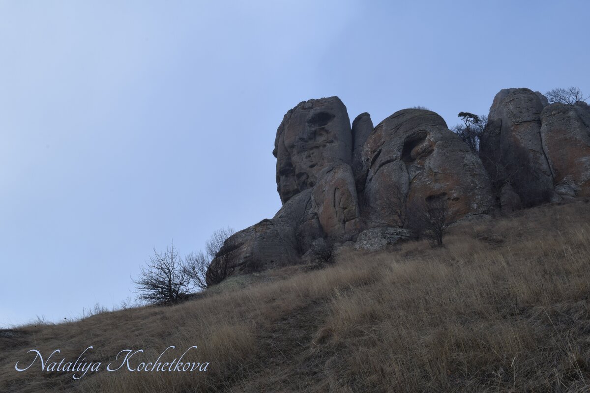 Природа Крыма - Amazing Cosmea