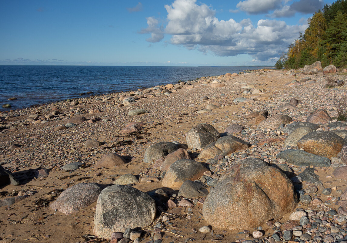 *** - Геннадий Порохов