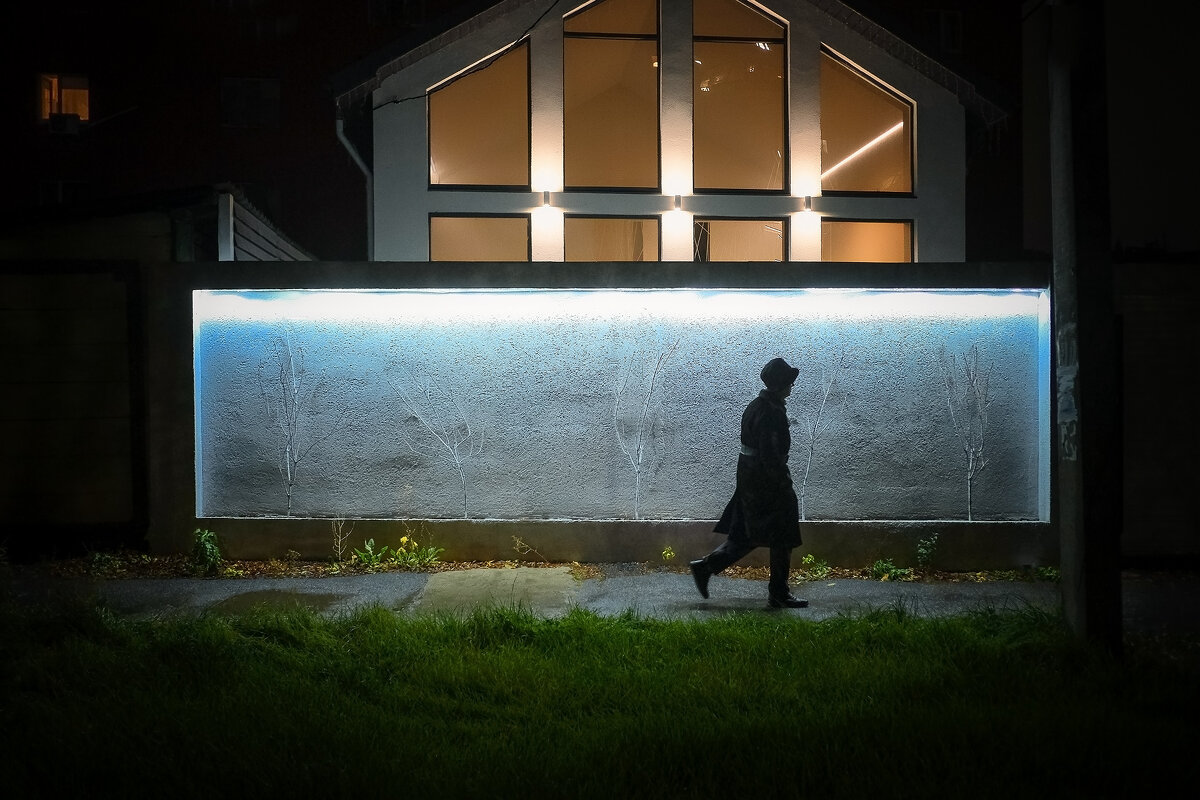 Ночь в городе N... - Влад Никишин