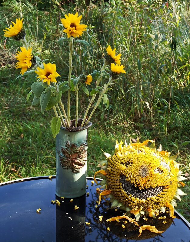 Кто не успел, тот опоздал! - veilins veilins