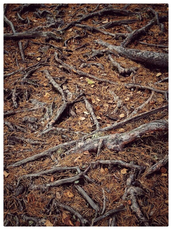 *** - someone somewere