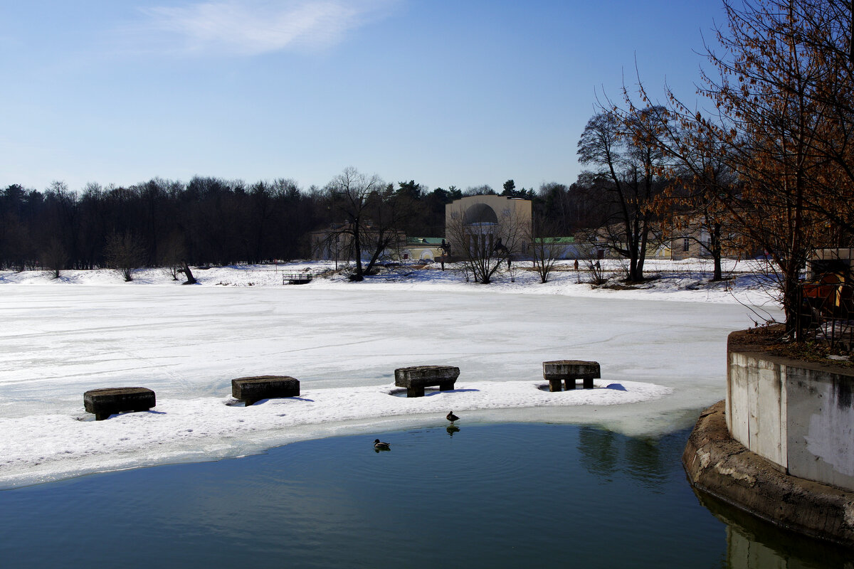 Верхний Кузьминский пруд - Игорь Белоногов