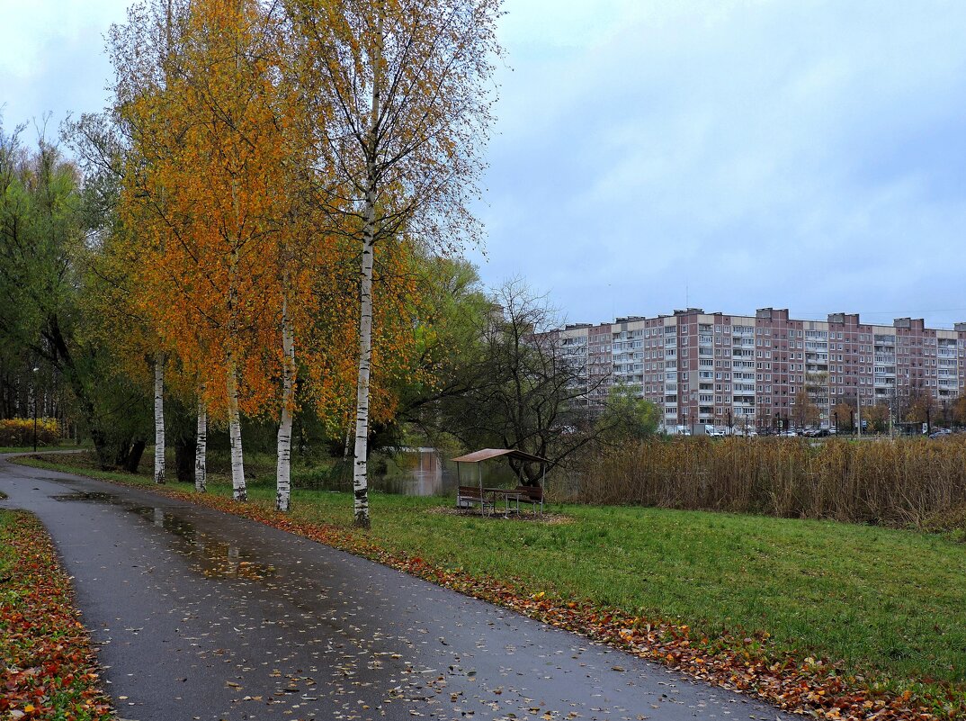 Октябрьские зарисовки - Мария Васильева