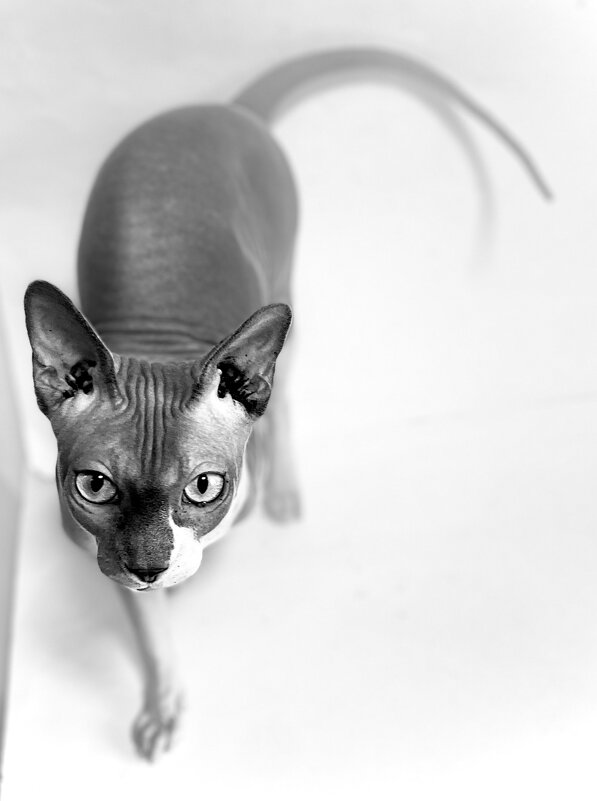 Тима - Андрей Зайцев