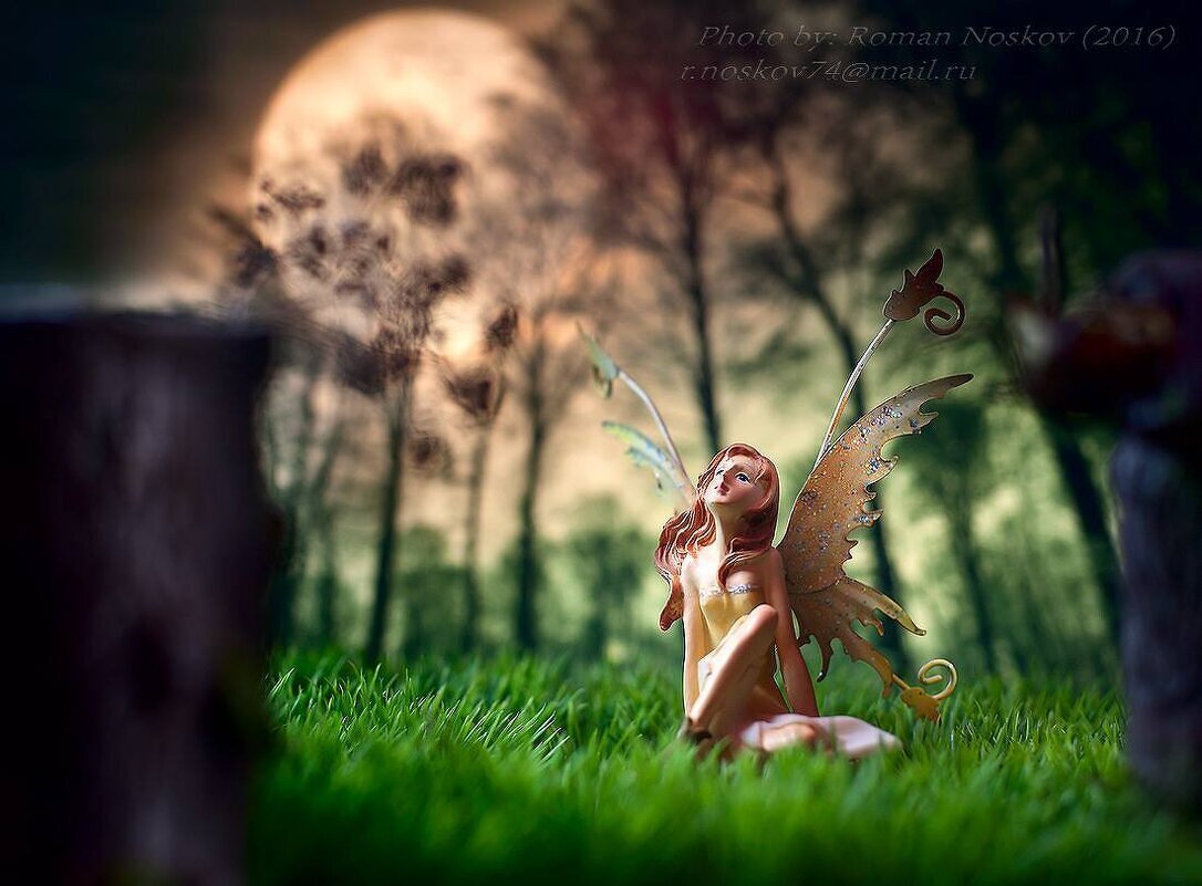 Мечты - Роман Носков 