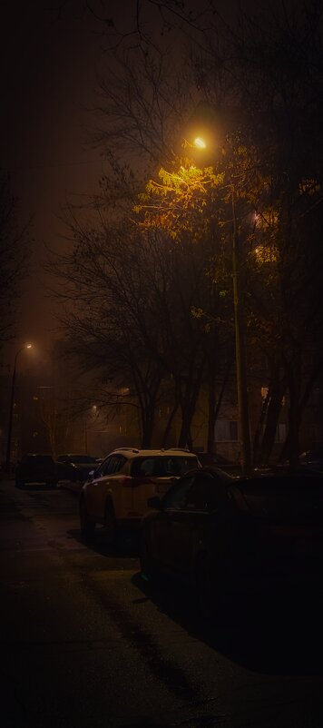 Вечер в пелене тумана - Леонид Абросимов