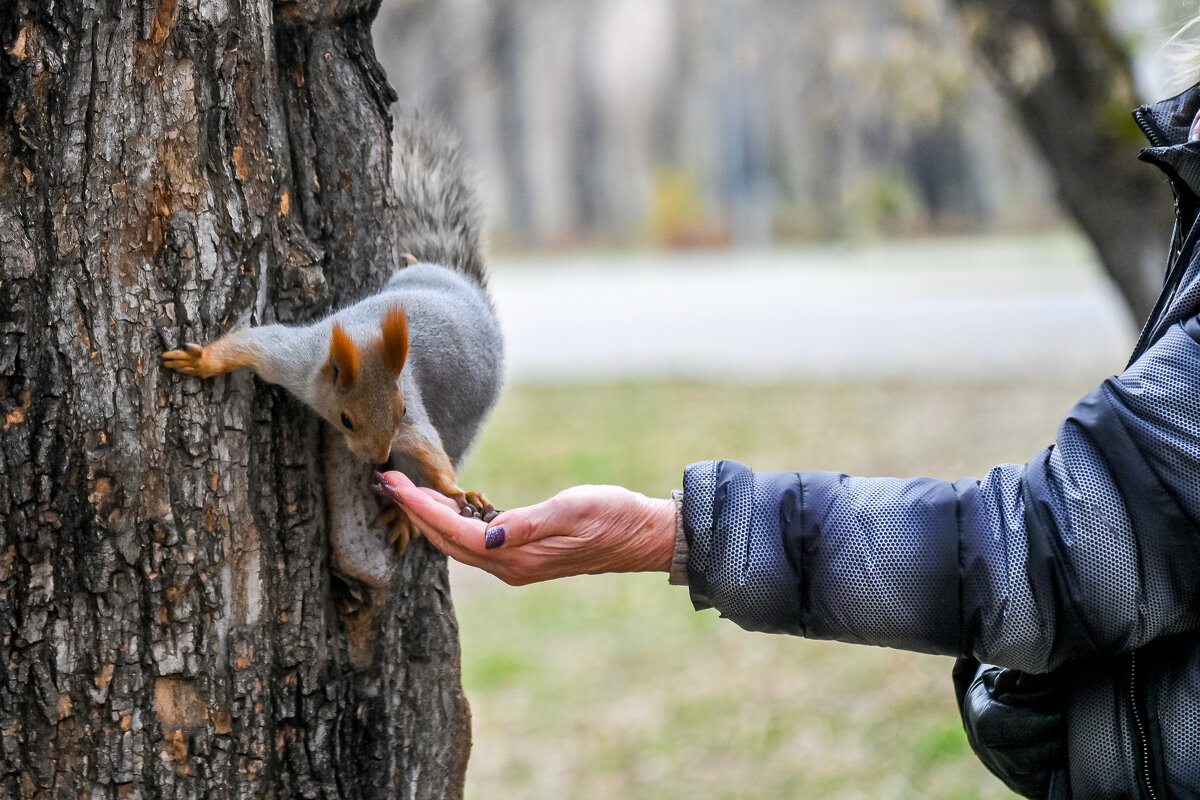 Погоди, не уходи! - Михаил Петрик