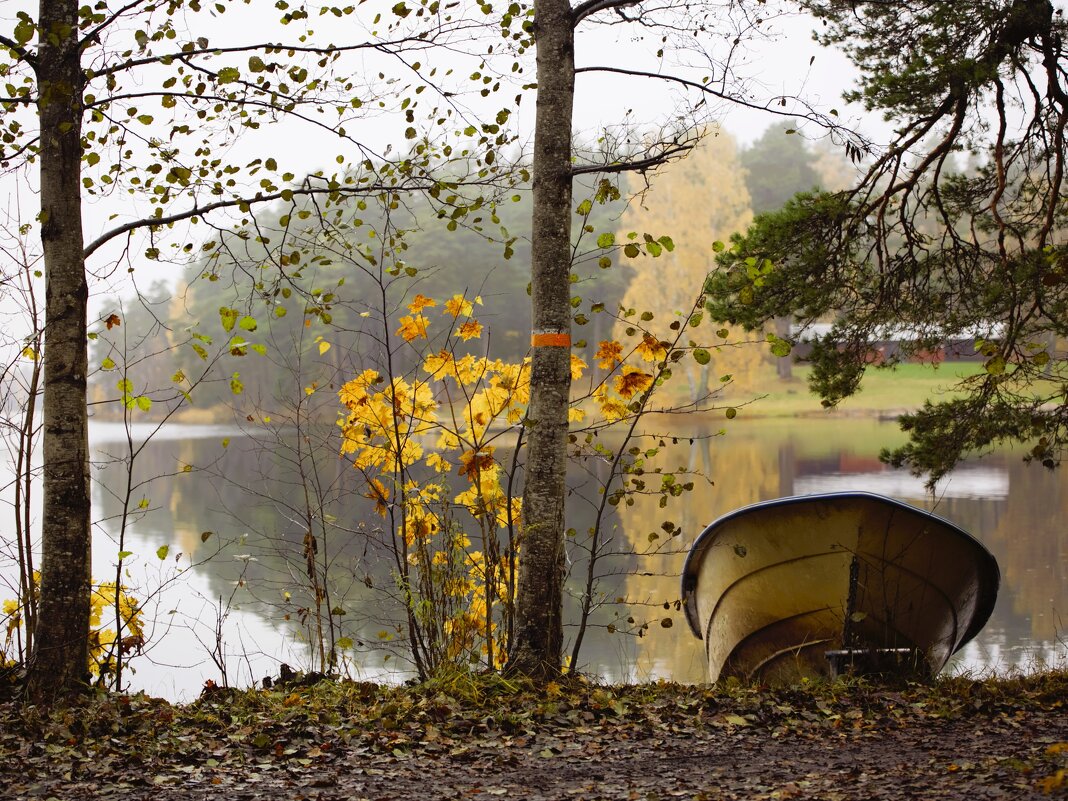 В осенних ритмах - liudmila drake