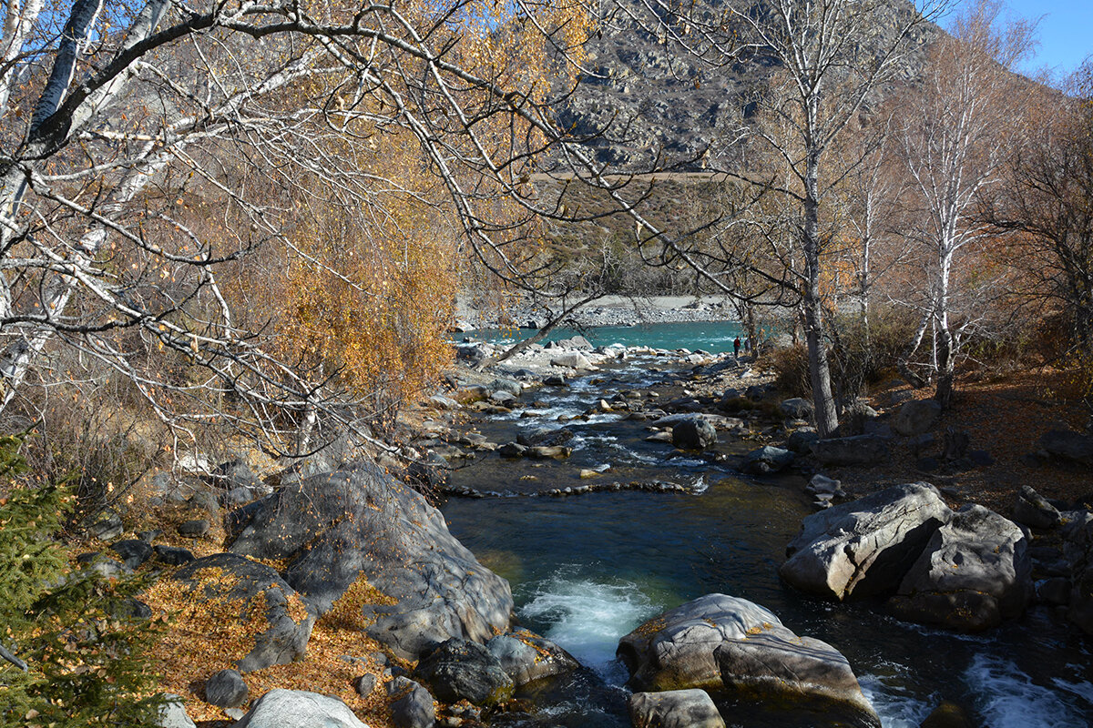 Устье Большого Ильгуменя - Валерий Медведев