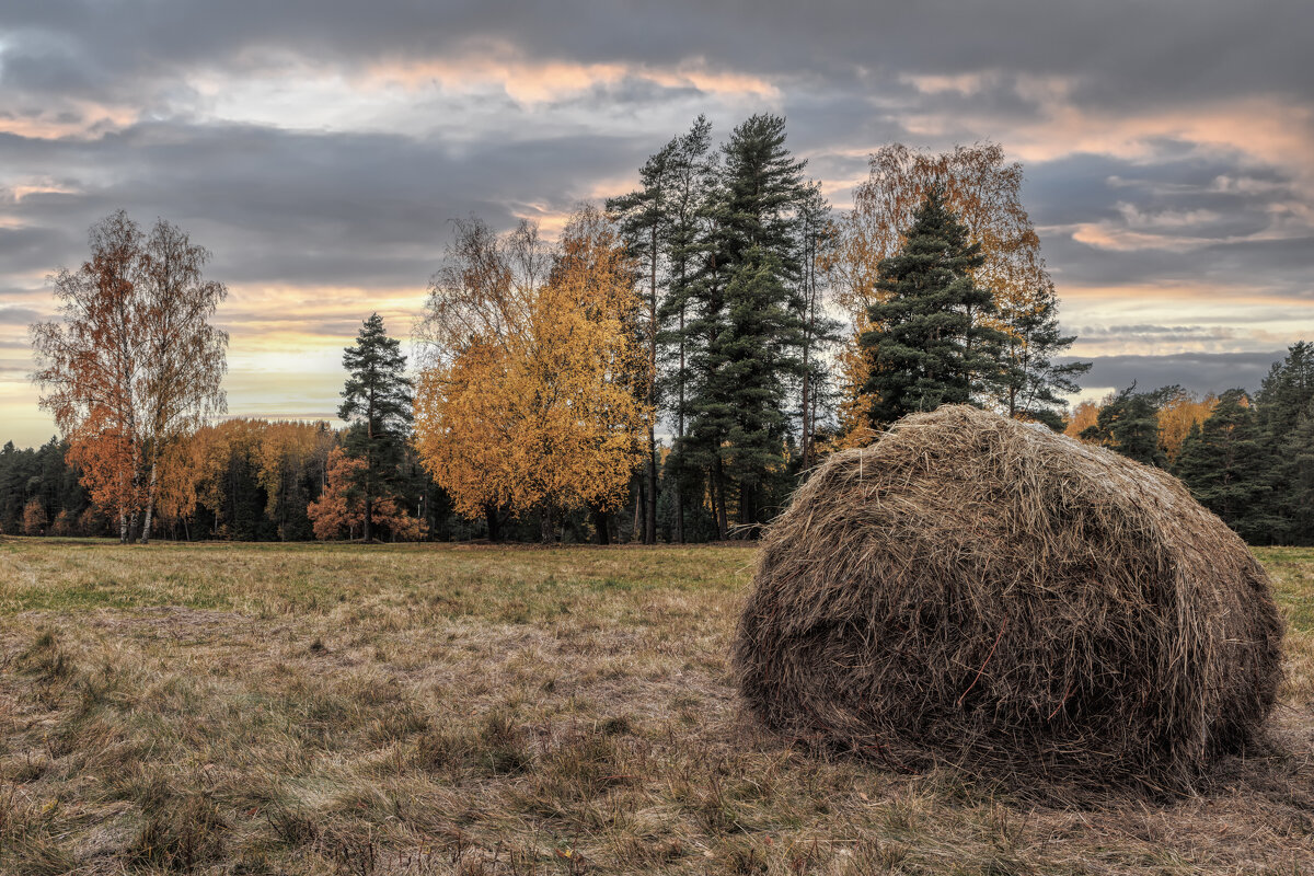 Про Питер - Владимир Колесников