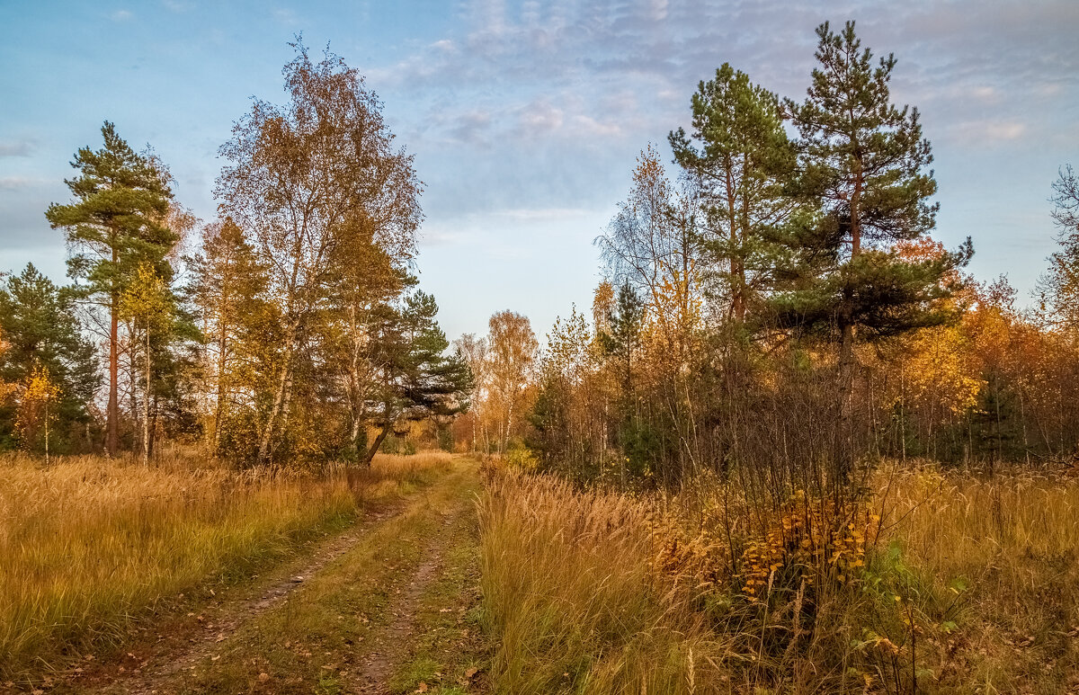 Осенний вечер 11 - Андрей Дворников