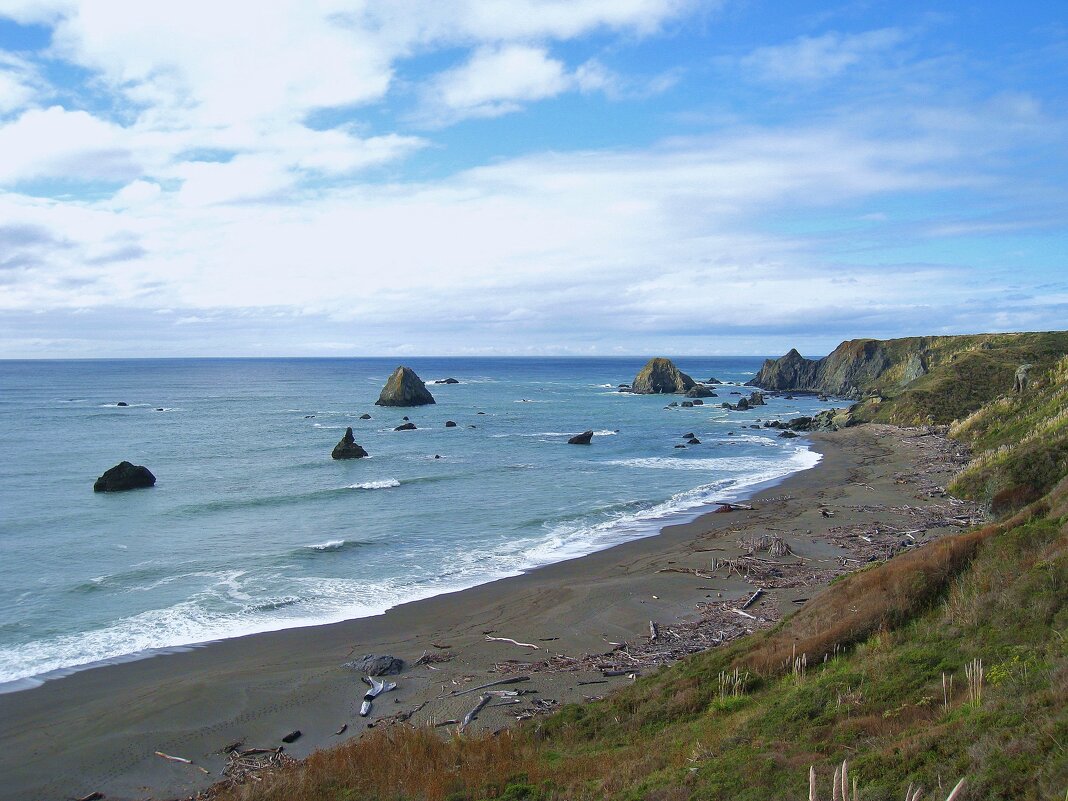 Живописный вид на пляж Дженнер Бич, Калифорния, США. - unix (Илья Утропов)