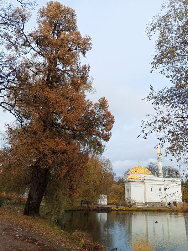 Осень - Сапсан 