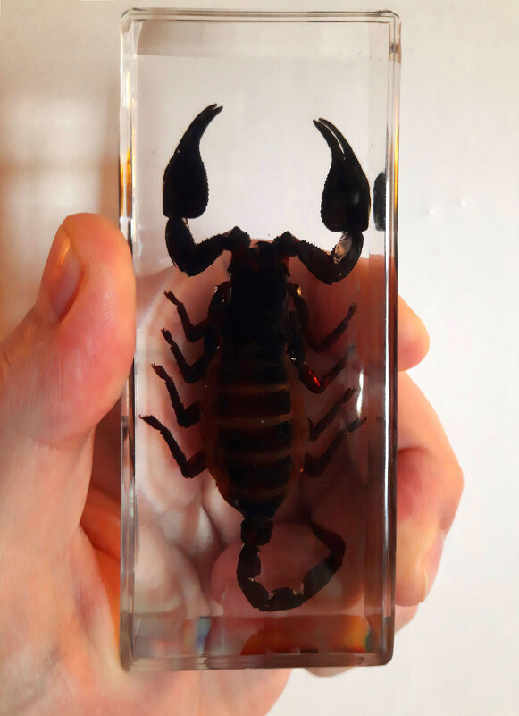 Скорпион - Андрей Л. В. Скорпион - Андрей Л. В.